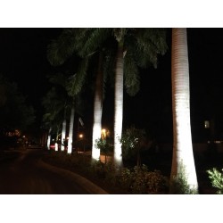 FL130 Solar Commercial Spot Light System (1-3 Lights) FL130 Solar Commercial Spot Light System (1-3 Lights)