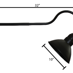 CP19 Gooseneck Light Fixture CP19 Gooseneck Light Fixture