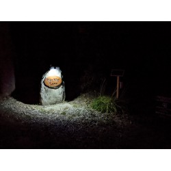 FL51 Solar 3W Sign Light System (1-4 Fixtures) 