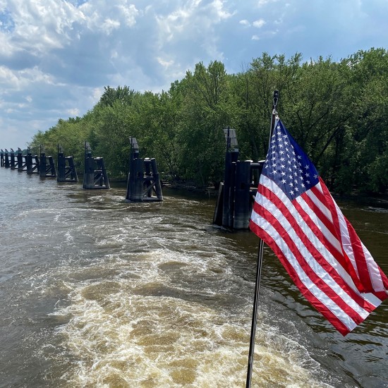 FL10 Solar 5W/10W/20W/30W Floodlight System (1 Fixture)