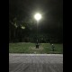 SL15 Solar Street Light 10W to 30W (With Pole)