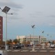 SL24 Solar Street Light 10W To 25W (With Pole)