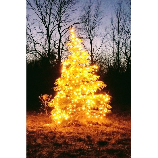 XP08 Solar LED String Light System