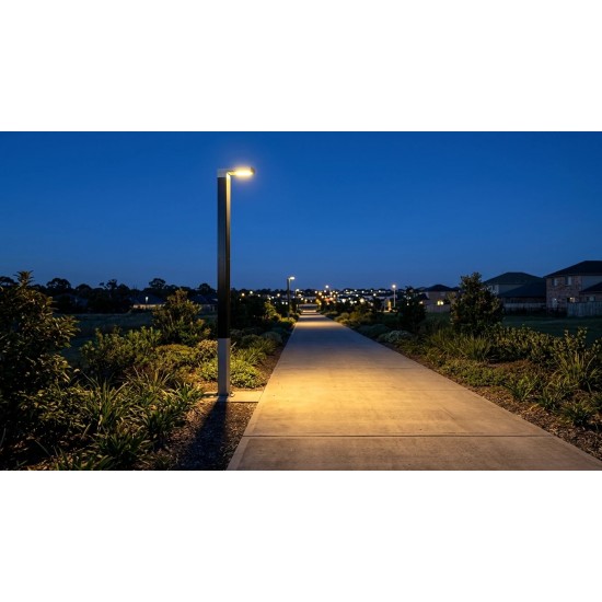 SL75 Solar 24W~60W LED Street Light (With Pole)